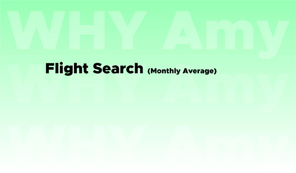 300000 Flight Search per Month